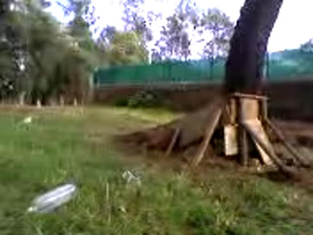 Must Watch Video