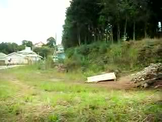 Must Watch Video