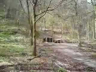 Must Watch Video