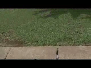 Must Watch Video