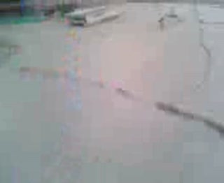 Must Watch Video
