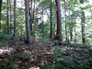 Must Watch Video