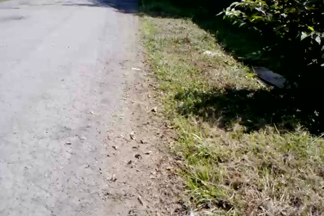 Must Watch Video