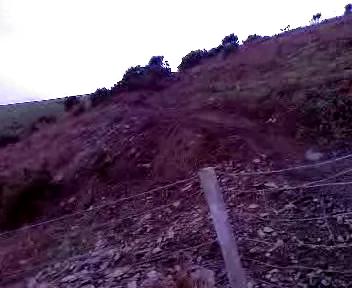Must Watch Video