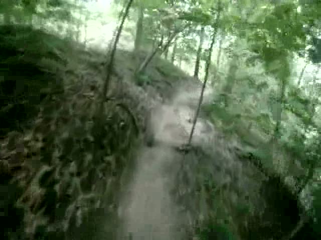 Must Watch Video