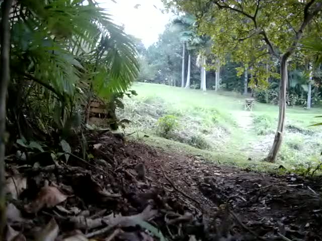 Must Watch Video