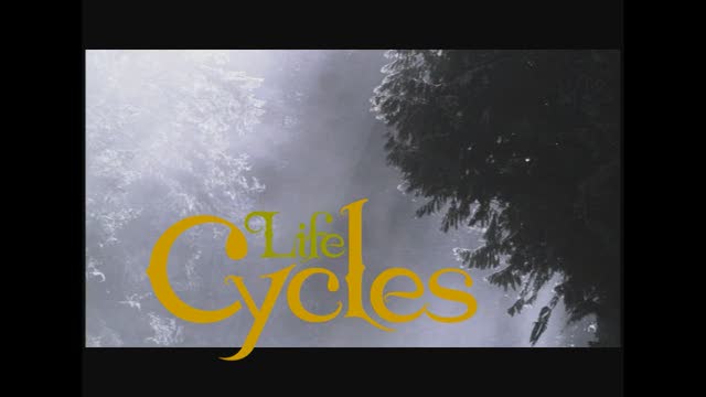 Must Watch Video