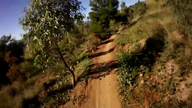 Canberra Stromlo Forest Parks MTB Singletrack covering the Luge 