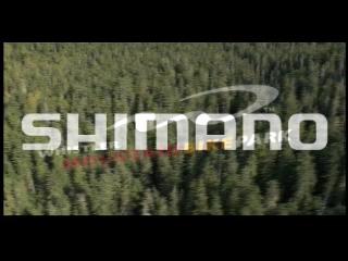 Must Watch Video