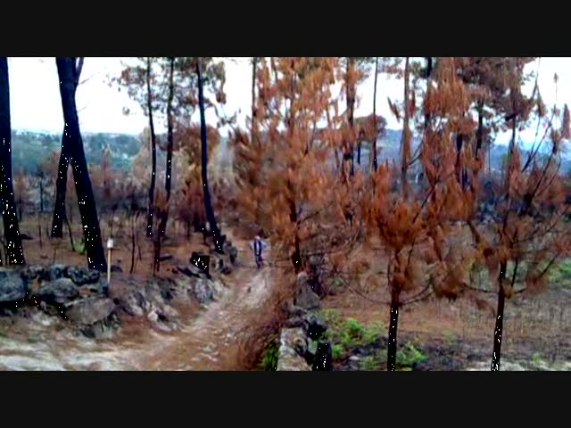 Must Watch Video