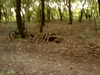 Must Watch Video