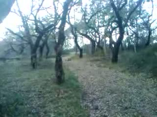 Must Watch Video