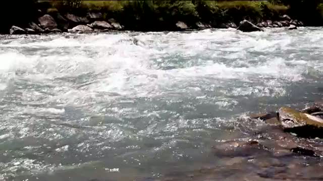 Must Watch Video