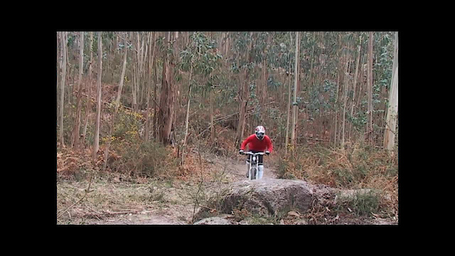 Must Watch Video