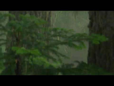 Must Watch Video