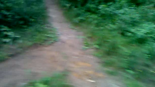 Must Watch Video