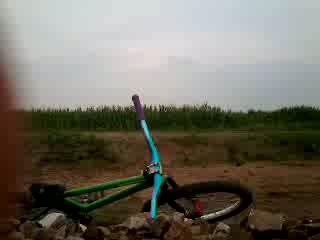 Must Watch Video