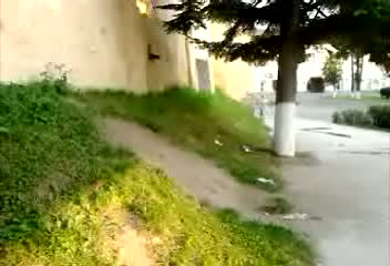 Must Watch Video