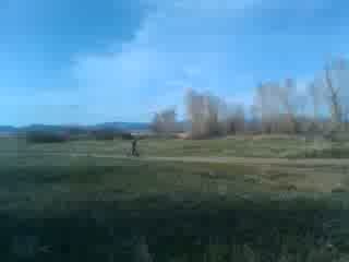 Must Watch Video