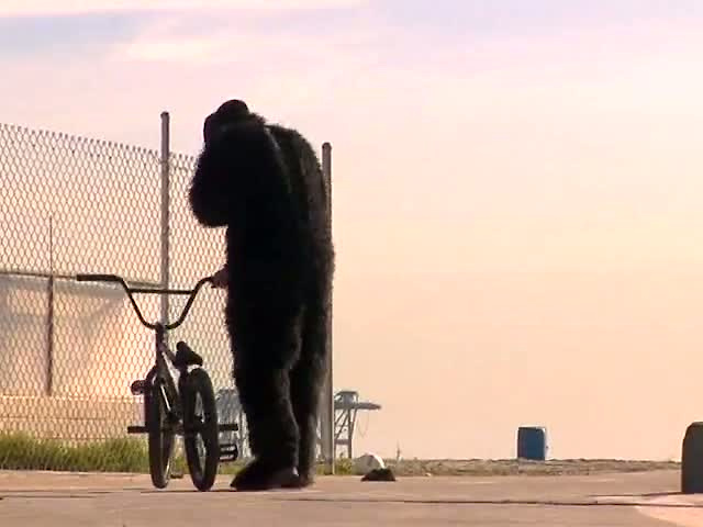 prik Kejserlig Derbeville test OSS Gorilla BMX Session Video - Pinkbike