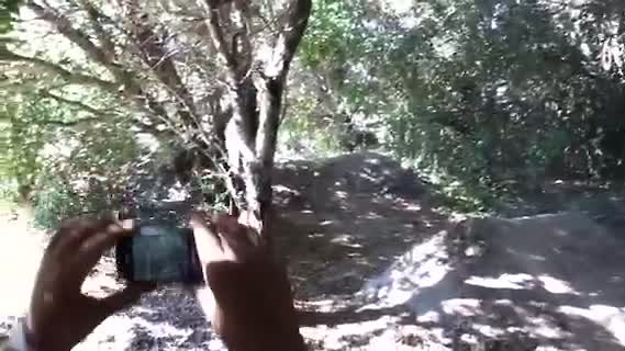 Must Watch Video