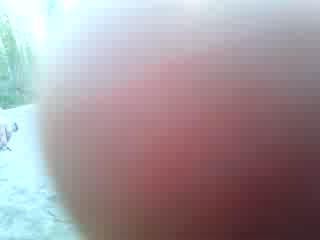 Must Watch Video