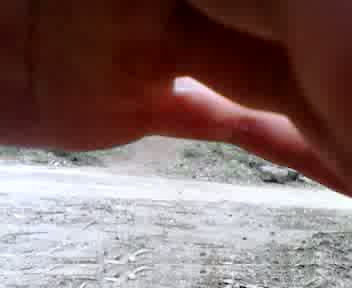 Must Watch Video
