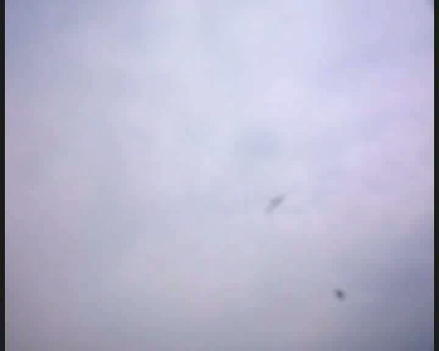 Must Watch Video