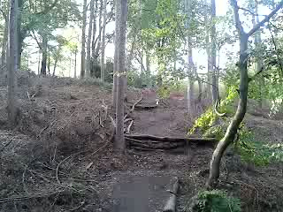 Must Watch Video