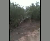 Must Watch Video