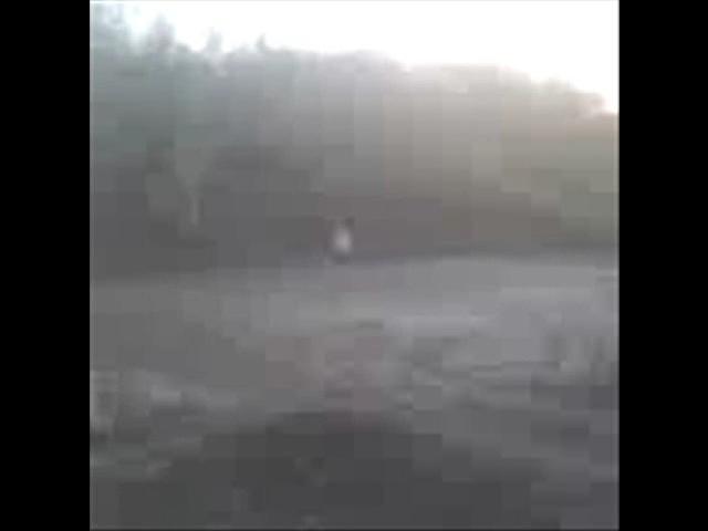 Must Watch Video