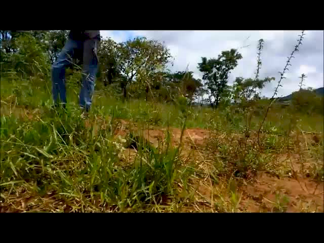 Must Watch Video