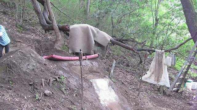 Must Watch Video