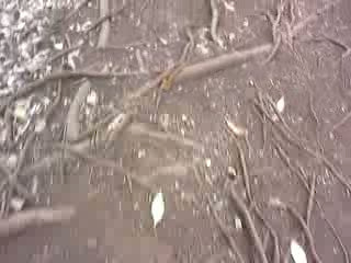 Must Watch Video