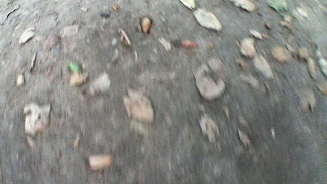 Must Watch Video