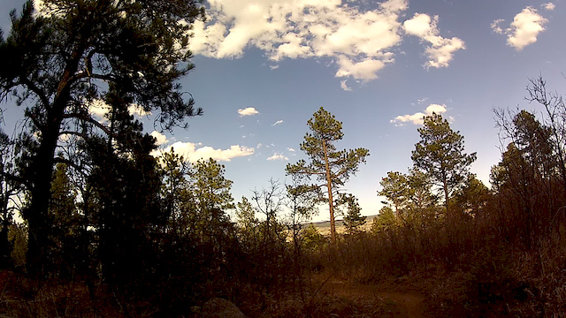 Must Watch Video