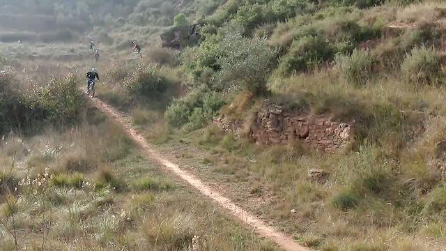 Must Watch Video