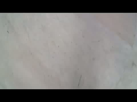 Must Watch Video