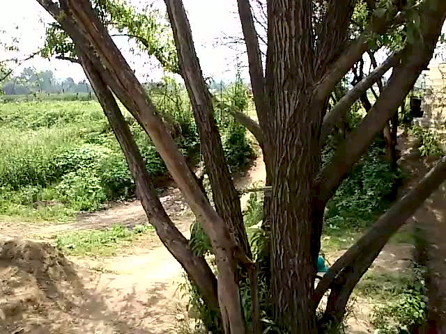 Must Watch Video