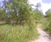 Must Watch Video