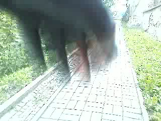 Must Watch Video