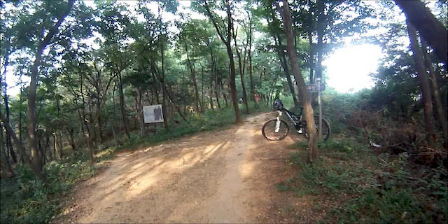 Must Watch Video