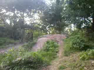 Must Watch Video