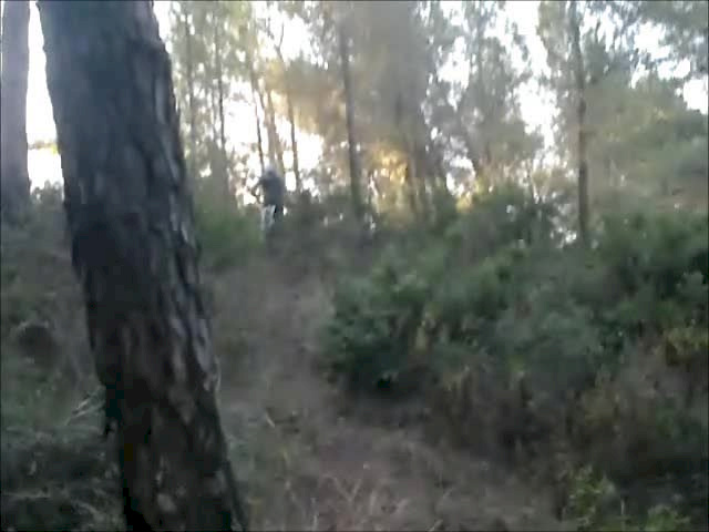 Must Watch Video