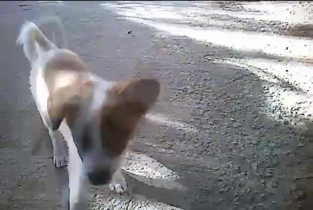 Must Watch Video