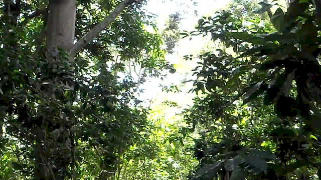 Must Watch Video