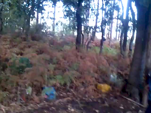 Must Watch Video