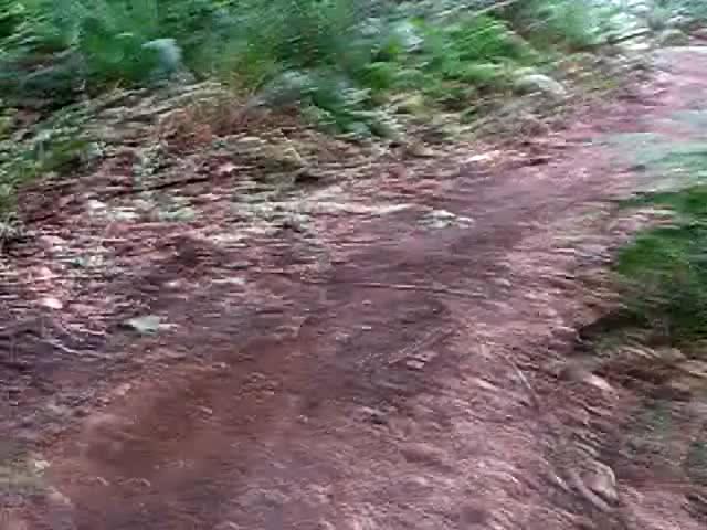 Must Watch Video