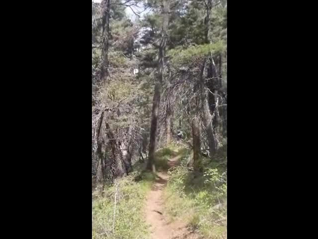 Must Watch Video