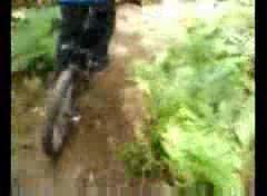 Must Watch Video